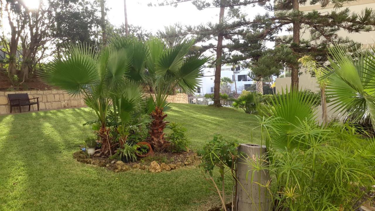Lovely 1-Bedroom Apartment With A Big Terrace, Las Americas, Tenerife アロナ エクステリア 写真