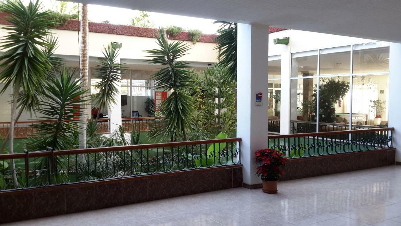 Lovely 1-Bedroom Apartment With A Big Terrace, Las Americas, Tenerife アロナ エクステリア 写真