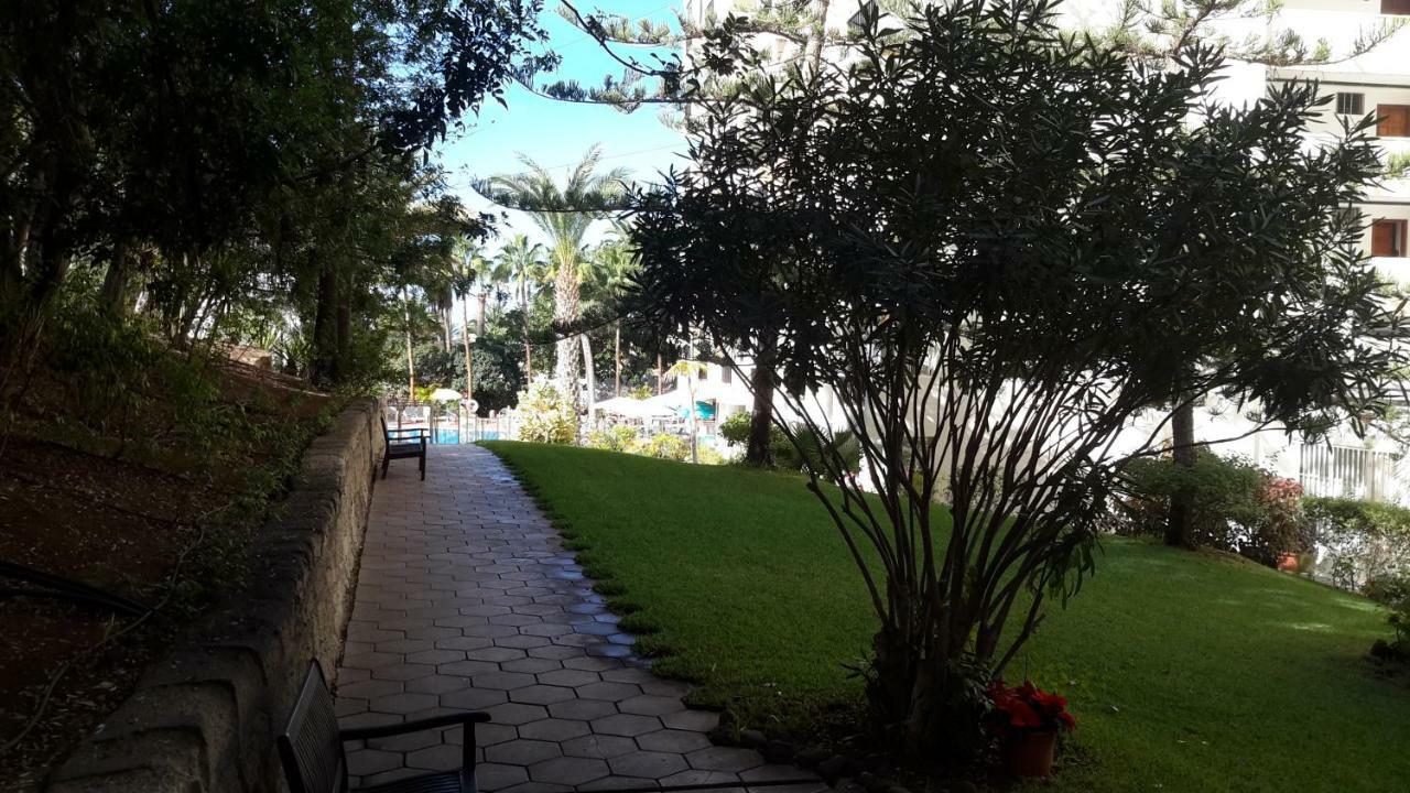 Lovely 1-Bedroom Apartment With A Big Terrace, Las Americas, Tenerife アロナ エクステリア 写真